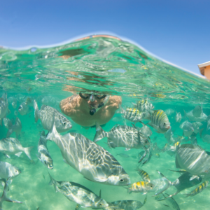 man snorkelling in crystal clear waters with tropical fish