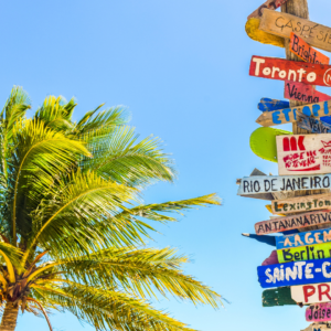 coconut tree next to a colourful beach sign