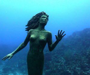 Amphitrite the Siren of Sunset Reef