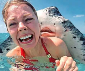 stingray city in grand cayman