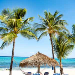 palapa on the beach with palm trees at Morritt's Resort in Grand Cayman