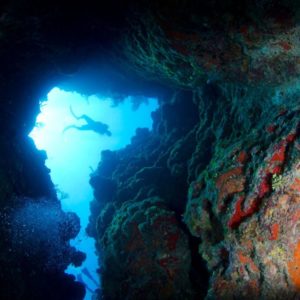 A diver exploring the underwater Bloody Bay wall in Little Cayman, Cayman Islands