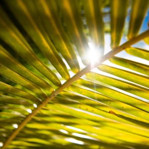 Warm weather in the Cayman Islands